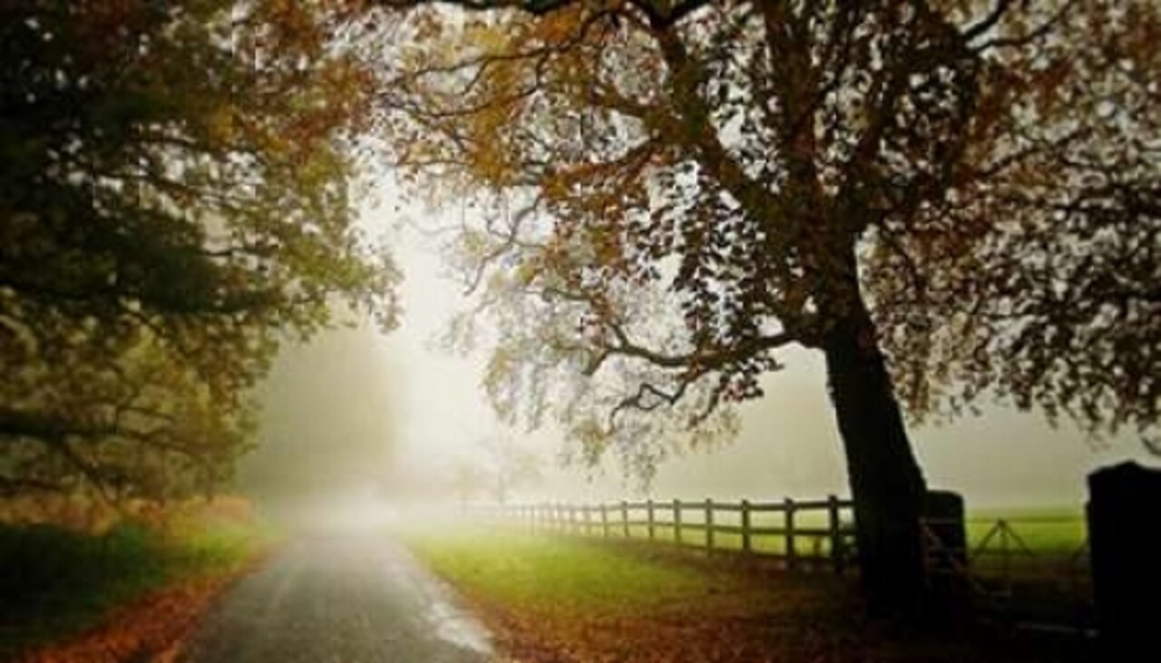 The Fog Poster Print by Adelino Goncalves - Item # VARPDXG656D